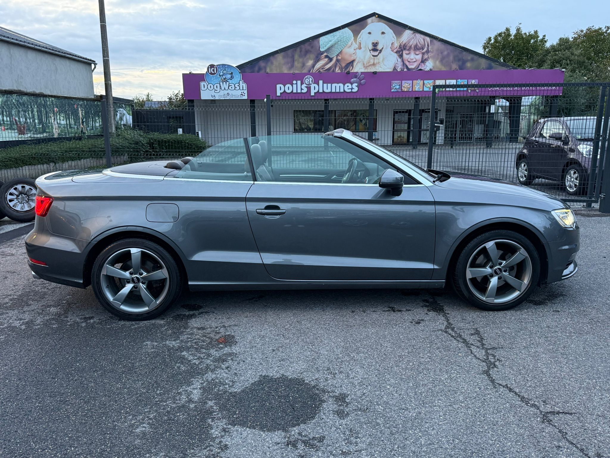 Audi A3 Cabriolet 1.4 TFSI / PDC / XENON / GPS / CUIR - Image 5